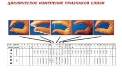 чи є виділення на перших тижнях вагітності