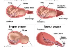 як проходять другі пологи