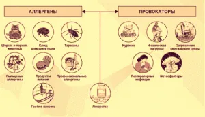 екзема алергія симптоми лікування причини профілактика шкіра висип алергічна дерматит фото