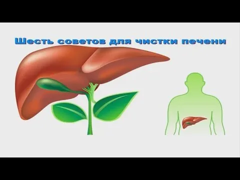 як лікувати печінку алохолом