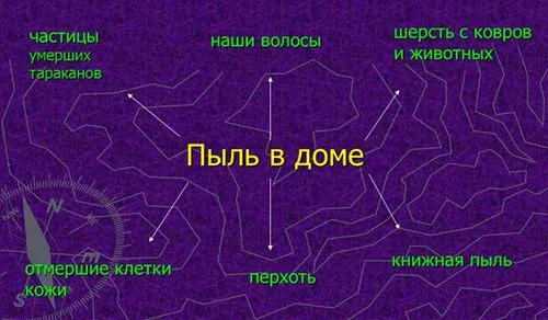 як вилікувати алергію на домашній пил