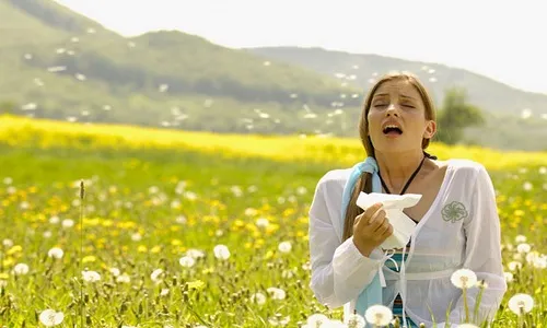 як лікувати алергію риніт