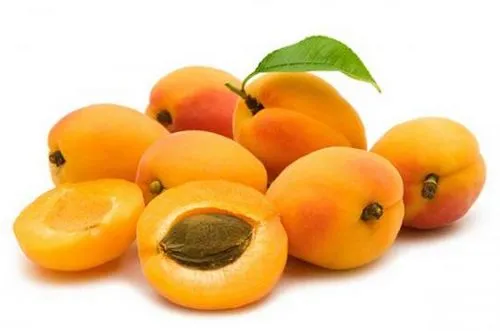 як лікувати рак абрикосовими кісточками