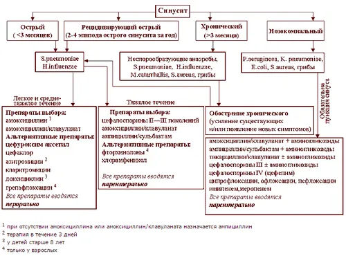 антибіотики в лікуванні синуситу