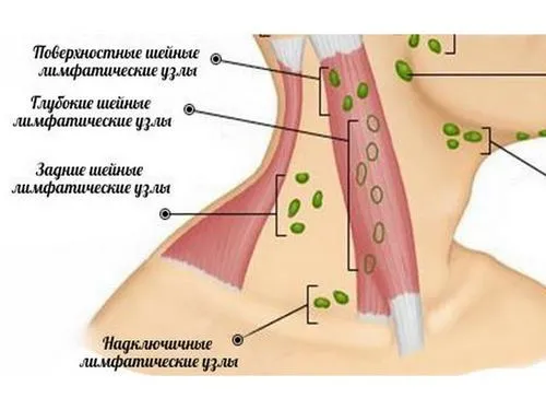 як лікувати лімфовузли на щелепи