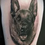 Înțeles câine tatuaj - sens, istorie și tatuaj foto (tatuaj) Înțeles câine tatuaj - sens, istorie și tatuaj fotografie