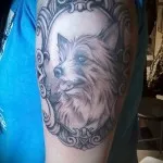 Înțeles câine tatuaj - sens, istorie și tatuaj fotografie (câine) Înțeles câine tatuaj - sens, istorie și tatuaj fotografie