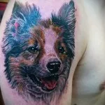 Înțeles câine tatuaj - sens, istorie și tatuaj foto (valoare) Înțeles câine tatuaj - sens, istorie și tatuaj fotografie