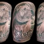 Înțeles câine tatuaj - sens, istorie și tatuaj foto (valoare) Înțeles câine tatuaj - sens, istorie și tatuaj fotografie
