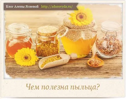 clorofilei beneficii lichide unice și aplicații (lichide) clorofilă lichide beneficii unice și aplicații