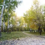 імунітет