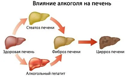 що допомагає як швидко позбутися похмілля домашніх умовах зняти випити бурштинова кислота найефективніші таблетки ліки полегшити
