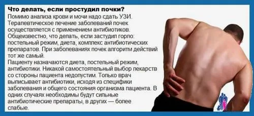 Що робити якщо застудив нирки: симптоми застуджений нирок, ніж лікувати застуджені нирки симптоми