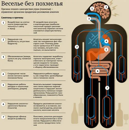 що допомагає як швидко позбутися похмілля домашніх умовах зняти випити бурштинова кислота найефективніші таблетки ліки полегшити
