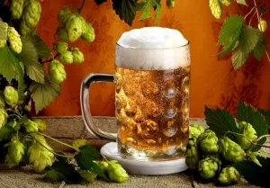 чи можна лікувати дитину гарячим пивом