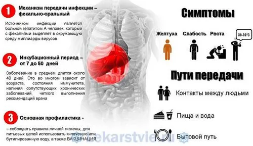 гепатит а термін лікування