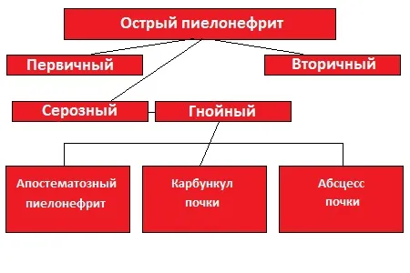 як лікувати якщо застудив нирки