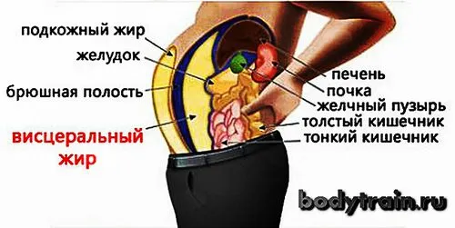 Як швидко прибрати живіт вправи щоб прибрати живіт