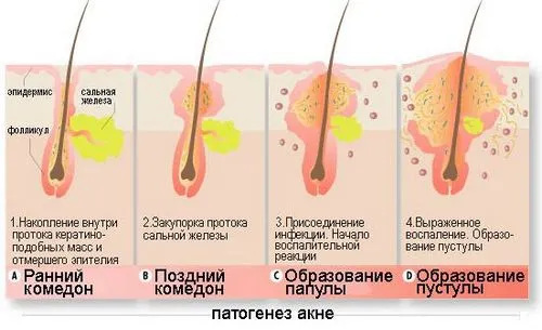 рецепти