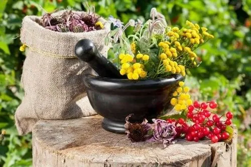 в домашніх умовах