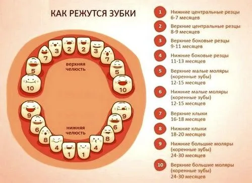 як лікувати грибкову алергію