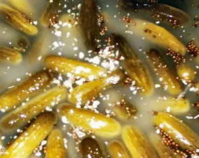 Як лікуватися фольгою як лікувати суглоби за допомогою фольги