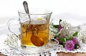 який лікар лікує нирки