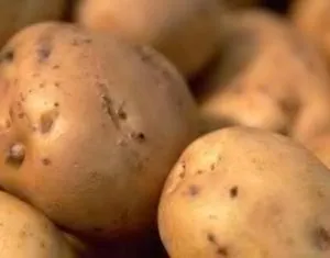 народні засоби лікування геморою в домашніх умовах