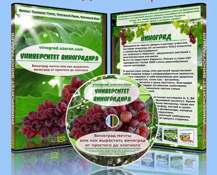 лікування капустянка