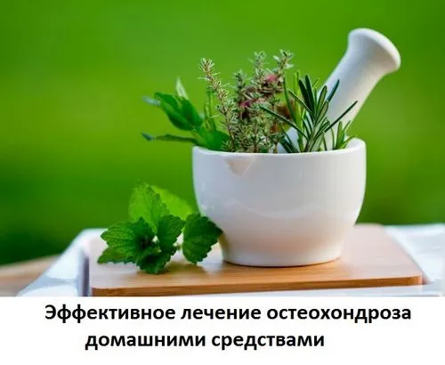 фітотерапія