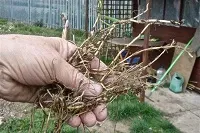 як вилікуватися від псоріазу назавжди