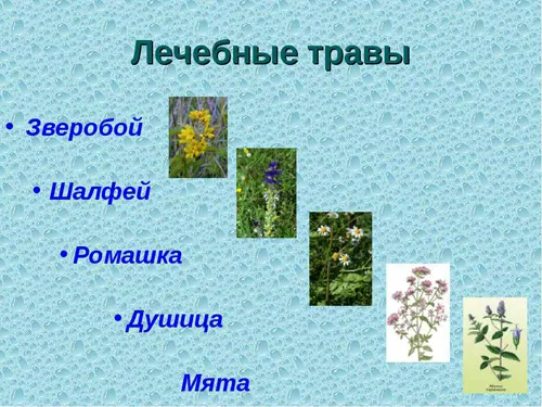 свербіж при алергії