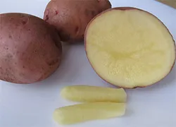 лікувати геморой картоплею