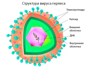 лікувати стоматит новонароджених дітей