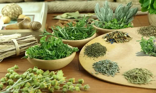 як лікувати мокротиння в легенях