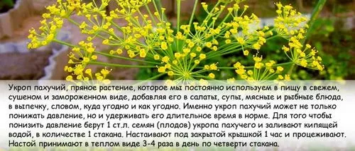 лікувати тиск травами