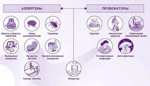 як лікувати алергію закладеність носа