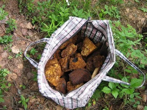 народні рецепти