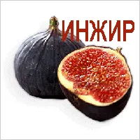 лікування мозолів на ногах
