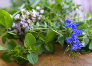 як лікувати жовтяницю