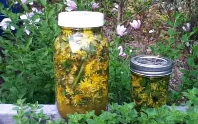 як лікувати суглоби кропивою