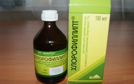 як лікувати стоматит хлорофіліпту