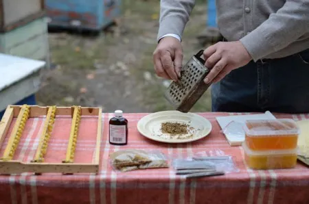 як лікувати рак шлунка народними засобами