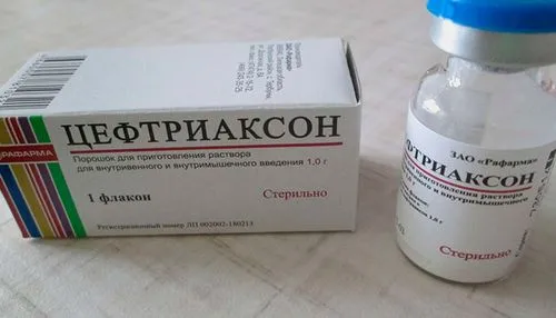 у дорослого