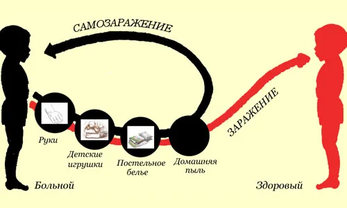 як лікувати лямблії і аскариди