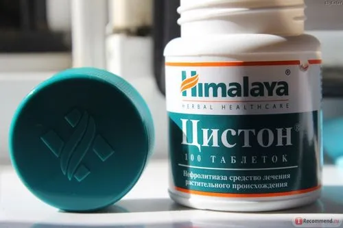 Ліки від нирок: чи існує панацея? як лікувати нирки без ліків