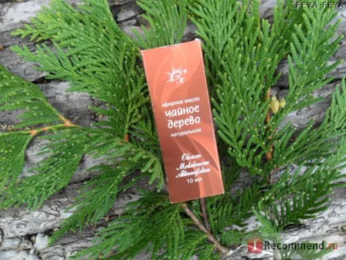 вилікувала прищі маслом чайного дерева