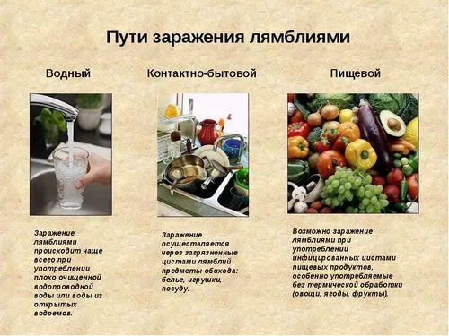 Лямблії в печінці: симптоми як лікувати лямблії в печінці