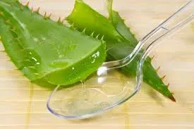 як лікувати гастрит алое