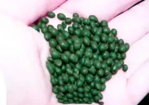 як лікувати ясна після насвая